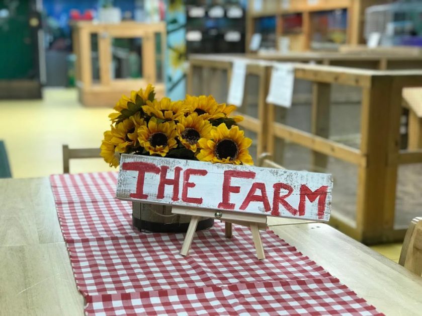 petting-zoo-4-5bd8e634774e4-839x628