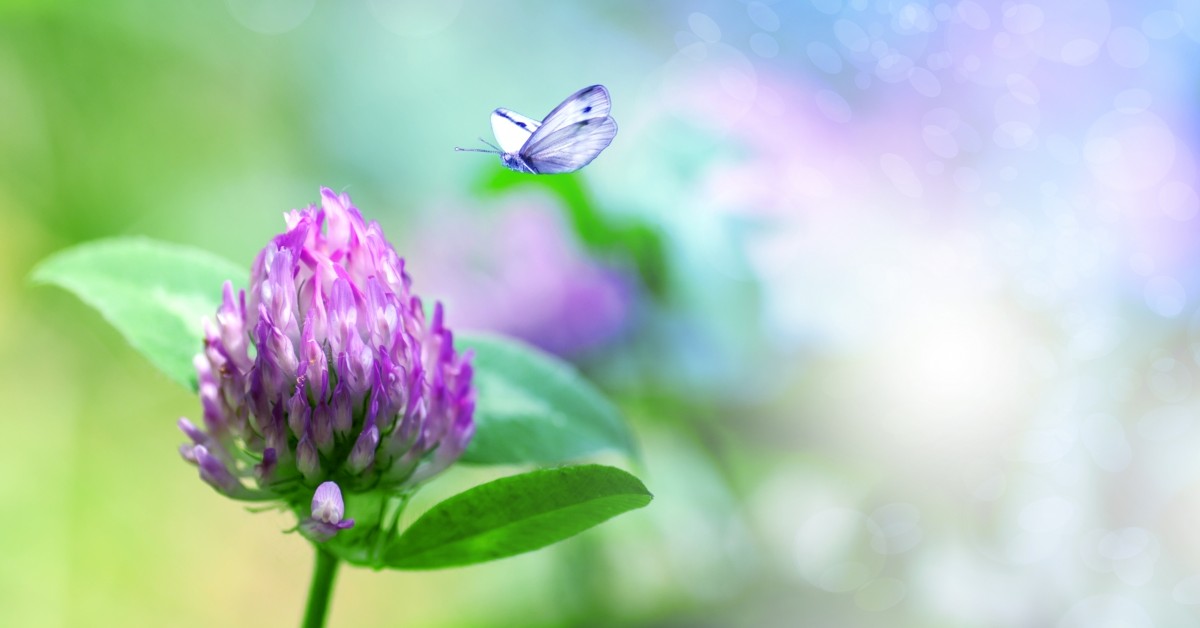 ftd-image-2021-spring-classes-6042b8312d3fb