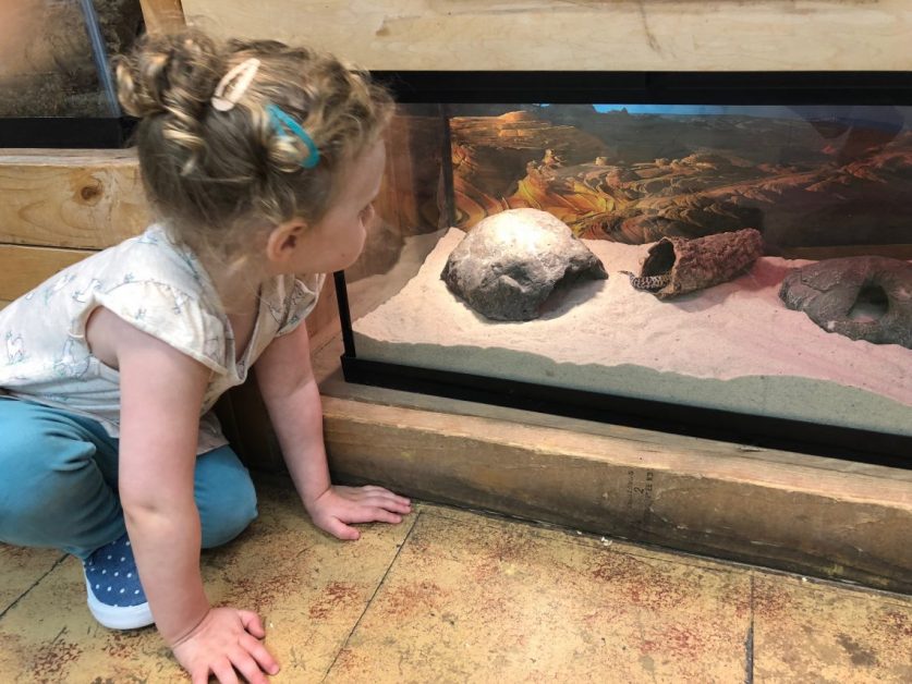 toddler-classes-2-5d4b4f764749a-1140x855-611d88df162ff-837x628