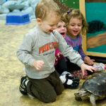 The Art Farm - Birthday Party