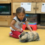 girl-with-bunny-5f525a336717d
