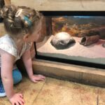 toddler-classes-2-5d4b4f764749a-1140x855