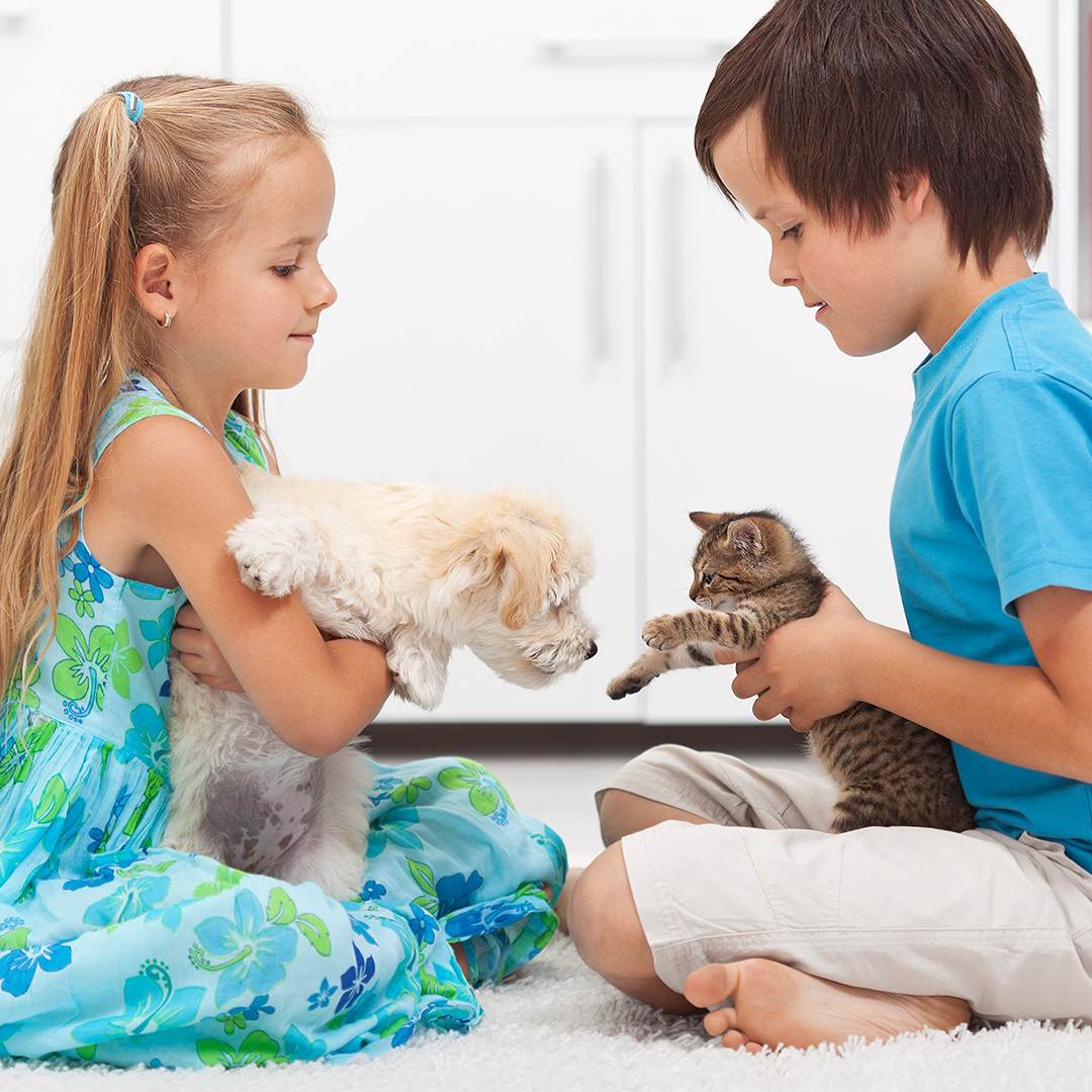 Image of kids playing with animals