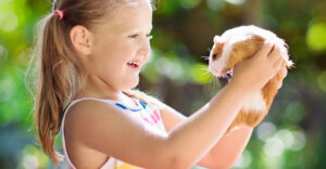 Image of a little girl holding a guinee pig