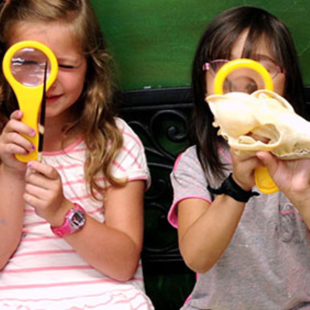 Two girls look at animal objects through plastic magnifying glass