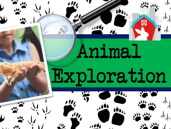 a9773e2c-60d5-4404-87b5-829f75300be5_thumbnail_animal_exploration