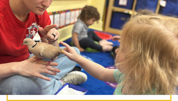 image of a child petting a bird