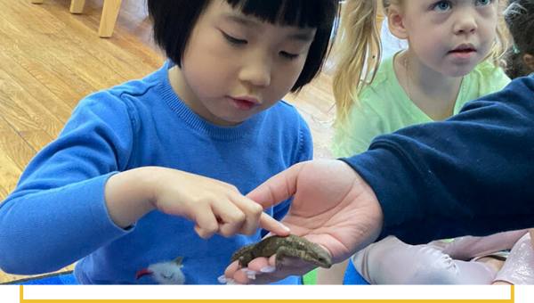 image of a 4 year old learning