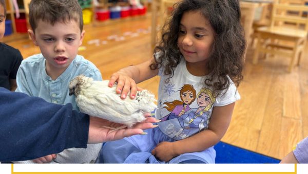 image of a kid petting a bird