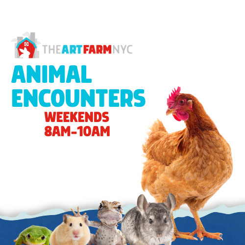 WeekendAnimalEncounters_Header_050125 (500 x 500 px)