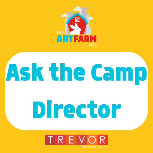 Ask Director