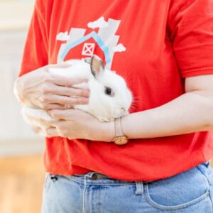 staff member holding a bunny