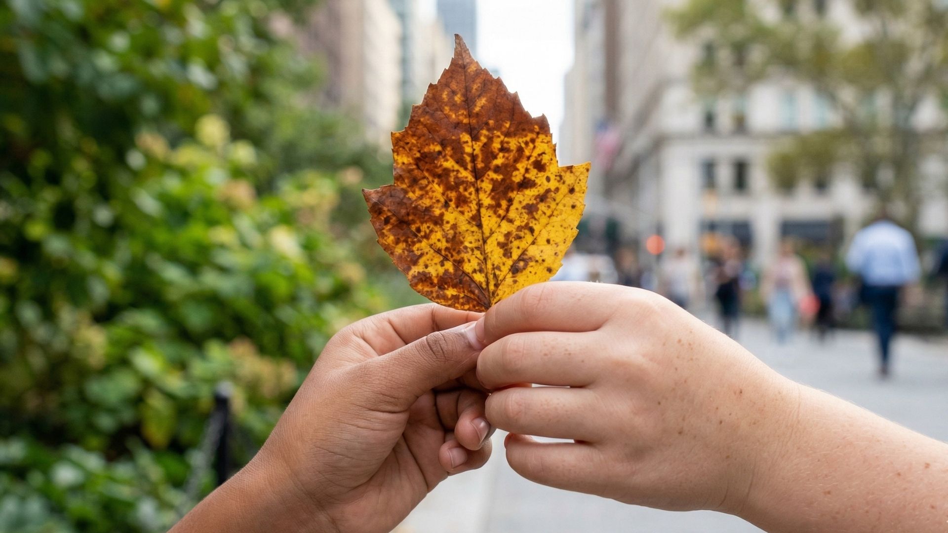 Two hands holding up a golden autumn leaf outdoors