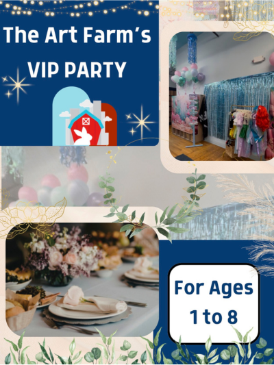 VIP Party Package - Website Cover