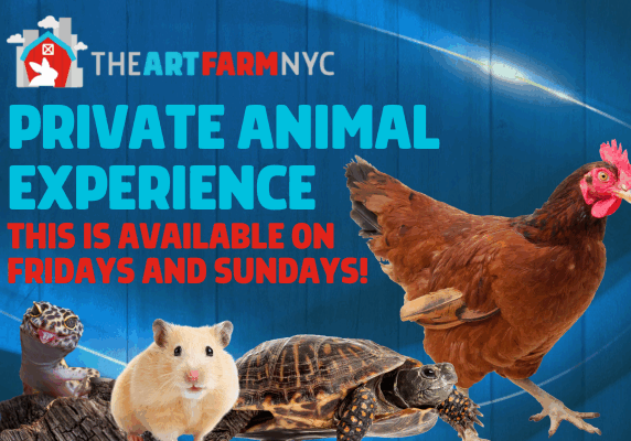 600x400 Private Animal Experience